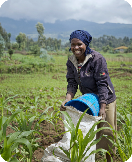 Young women farmer in Ghana supported through BRIDGE-in Agriculture working on farm